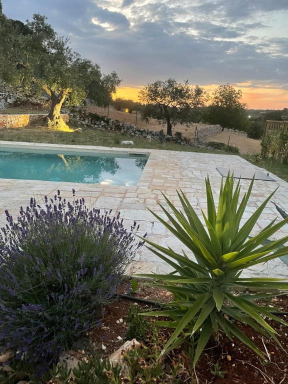 Trullo il Querciolo - 5
