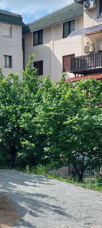 Apartman La Viva Sokobanja - 3