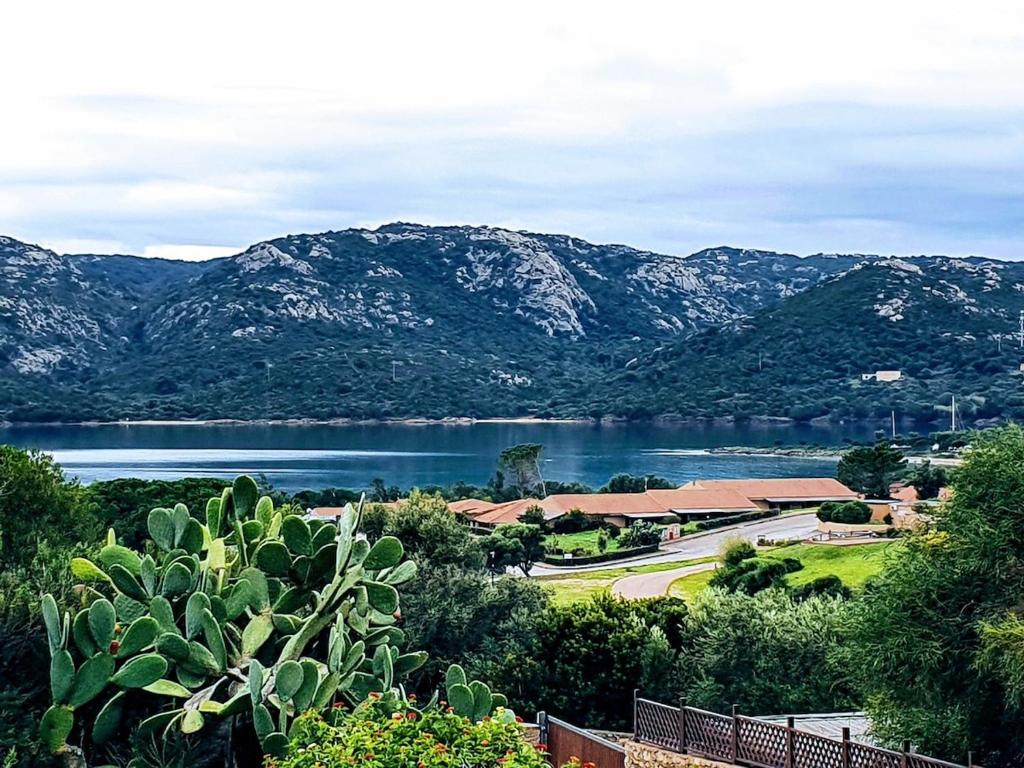 Villa Capodorso, Palau Porto Pollo - 5