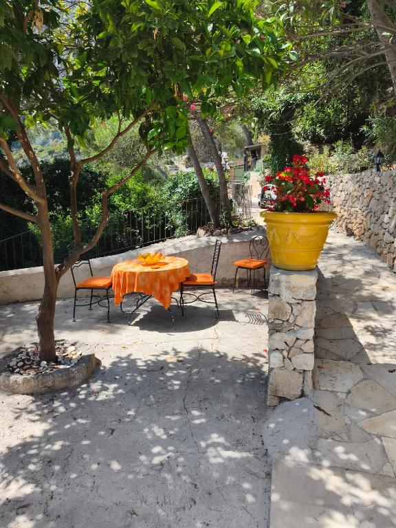 Maison exceptionnelle - 2