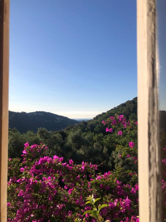 Les Pigerolles de Cabris - 4