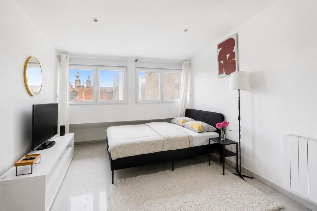 Studio Très Jolie & Frais avec Ventilateur, PARKING Privé Gratuit, MULHOUSE centre - 4