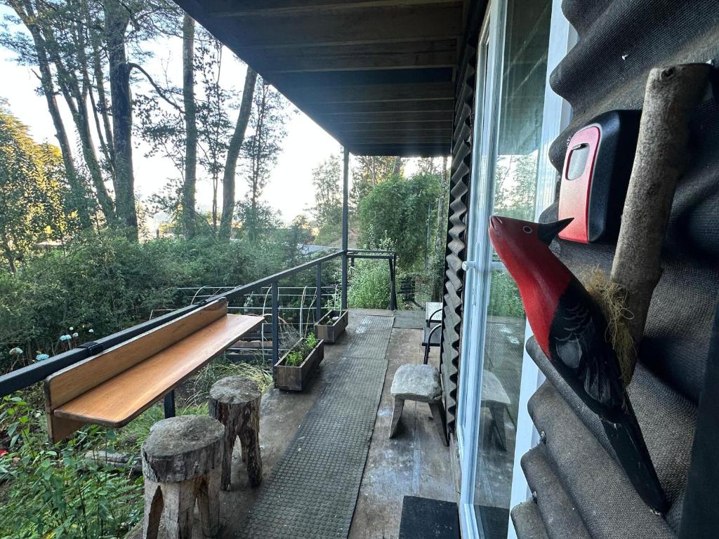 Casita Bosque-Rucalemu - 1