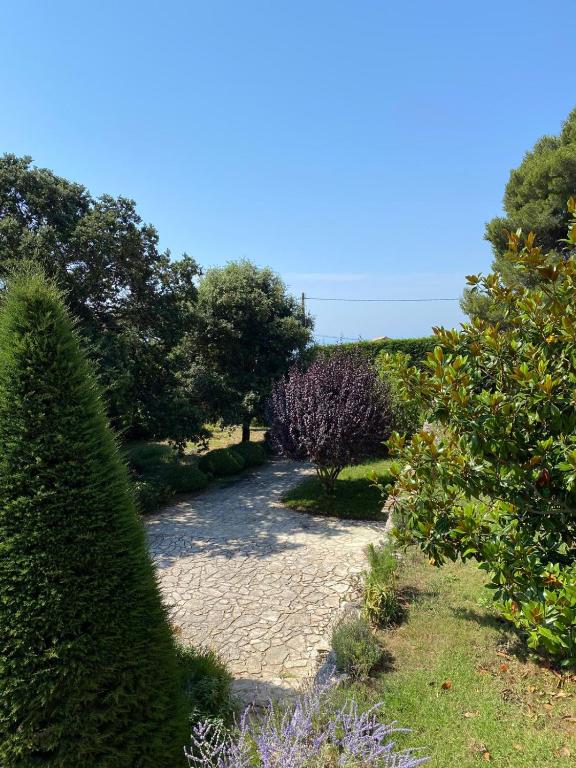 Magnifique Villa Nice - Villefranche - 3
