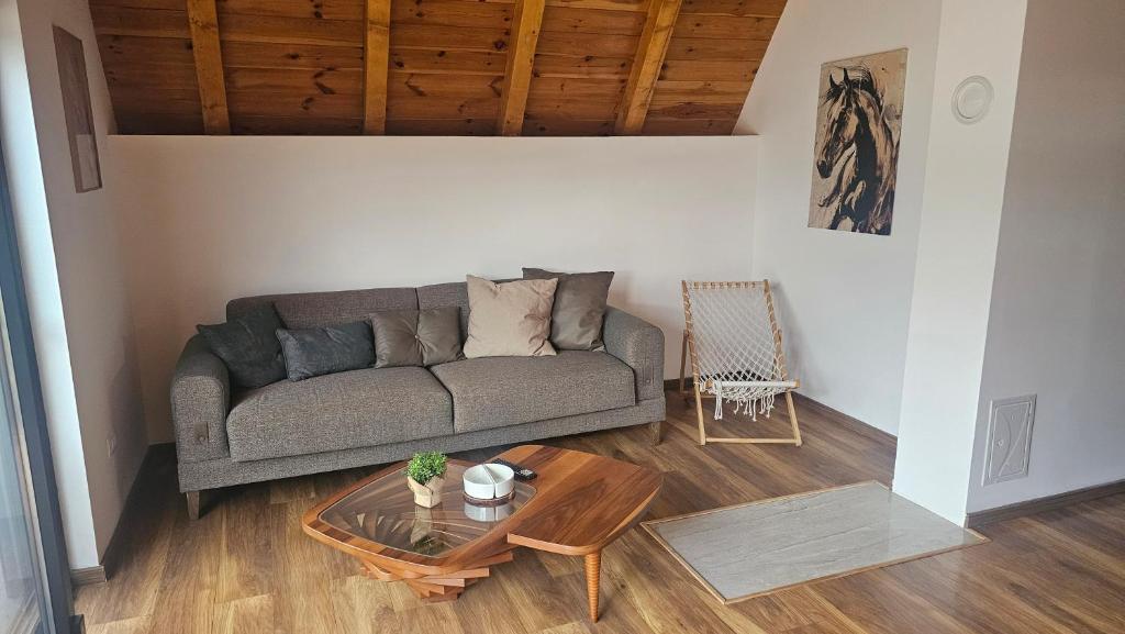 Durmitor Twin Chalets - 4