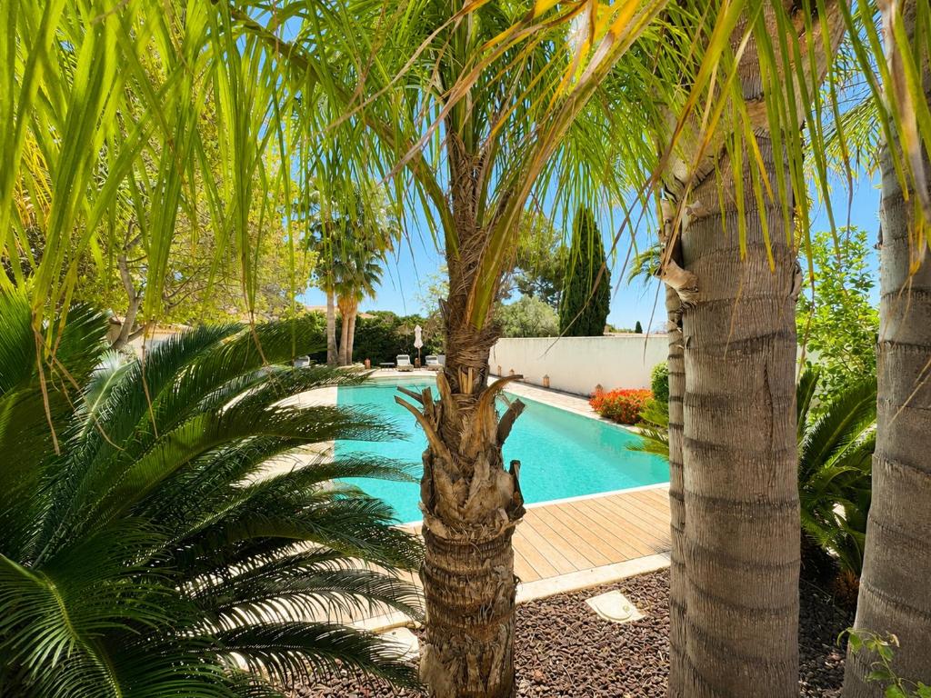 Villa Auralis - Piscine chauffée, clim, plage à pied - 4