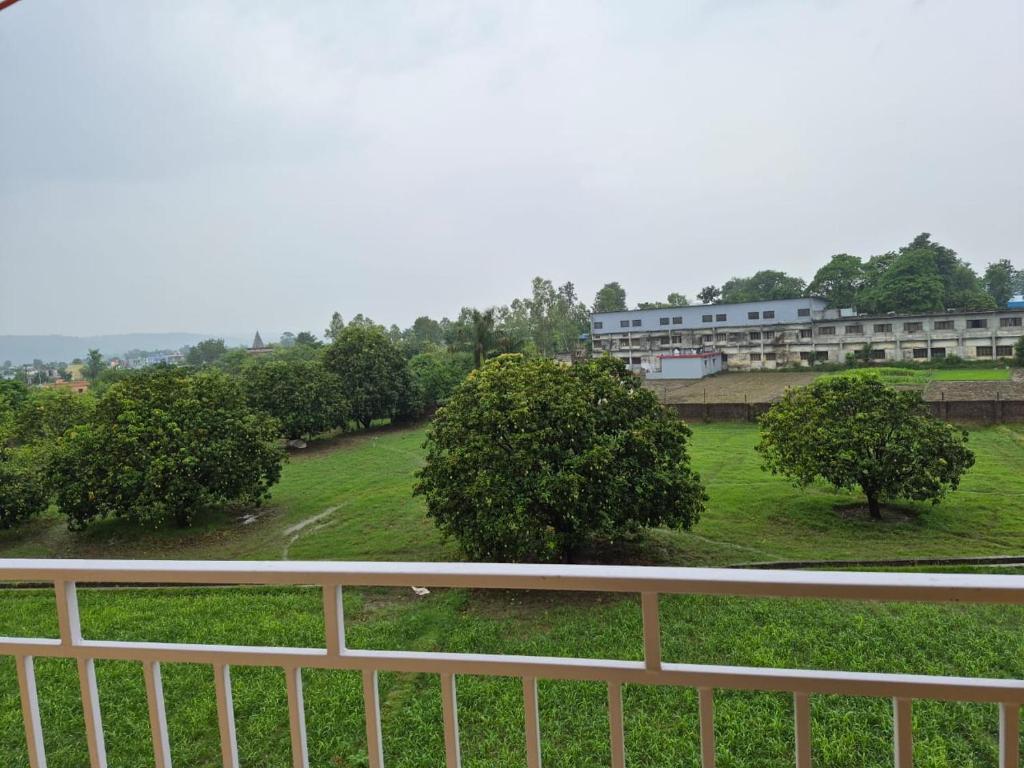 Ảnh 5