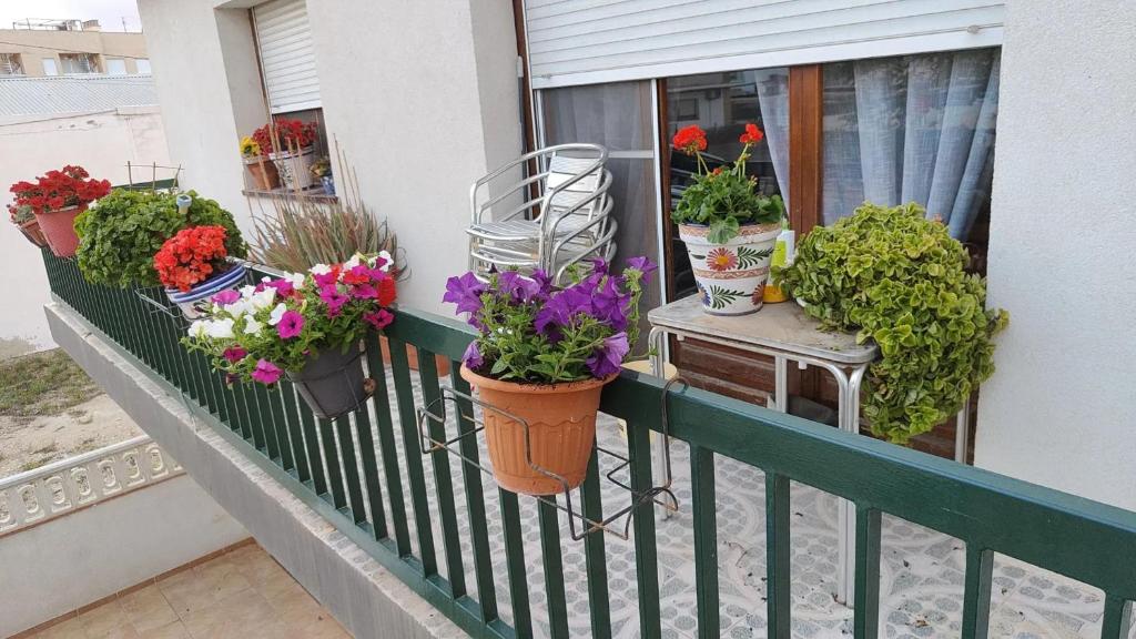Spacious House in Deltebre with Terrace - 1