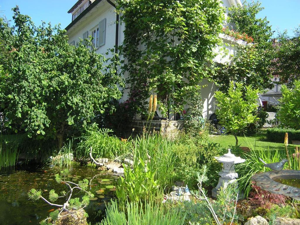 Blütenperle - altstadtnah im Grünen - - 2