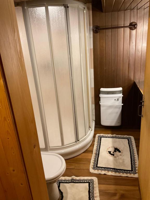Le vieux chalet - 4
