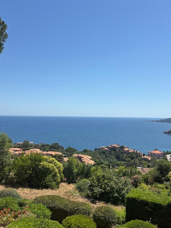 Au calme ! Vue Mer et Terre - 5