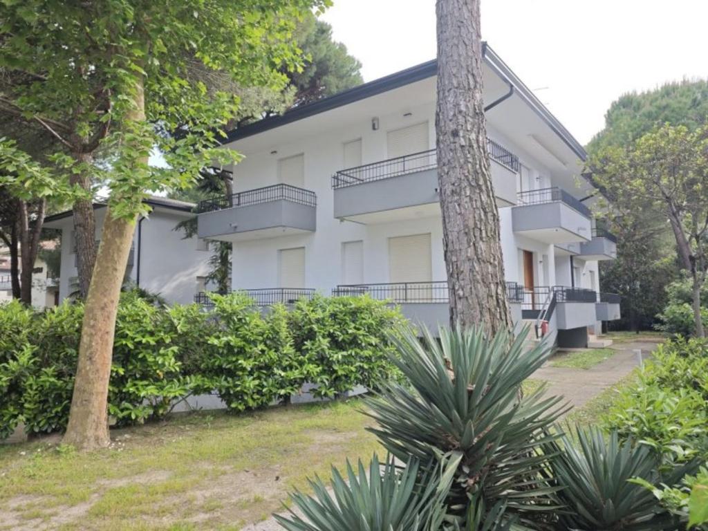 Welcoming apartment nestled in the Pine Forest - 2