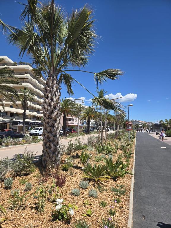 Duplex 75m2, Plage de sable fin à 1 min à pied - 3