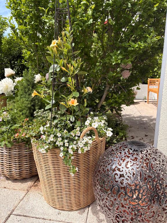 Fewo Bavaria – 5-Sterne-Ferienwohnung mit Garten, Terrassen & Bergblick - 5