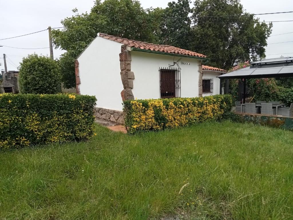 El capricho de la Providencia - 4