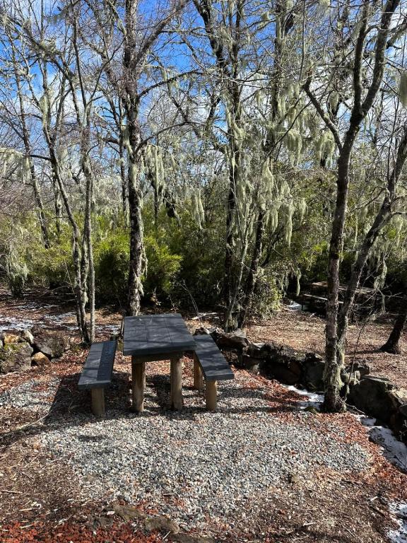 M Refugio 6 personas Tinaja Bosque Cerca centro de ski - 4