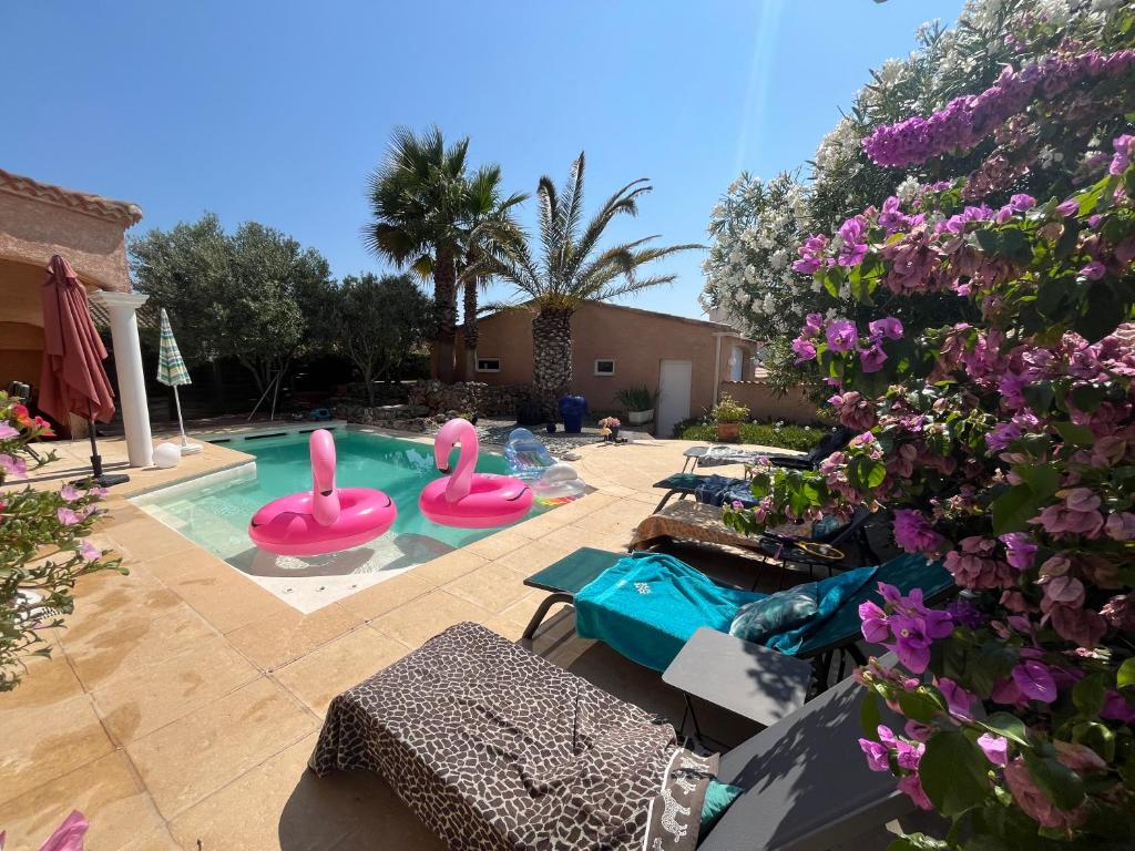 Villa Flamingo gayfriendly adult b&b - 5