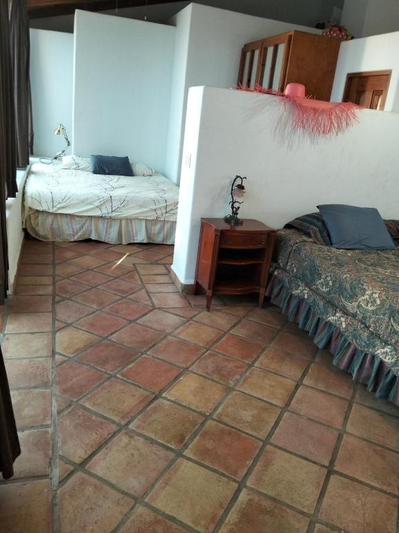 Large studio with private patio in Casa Cornucopia - 5
