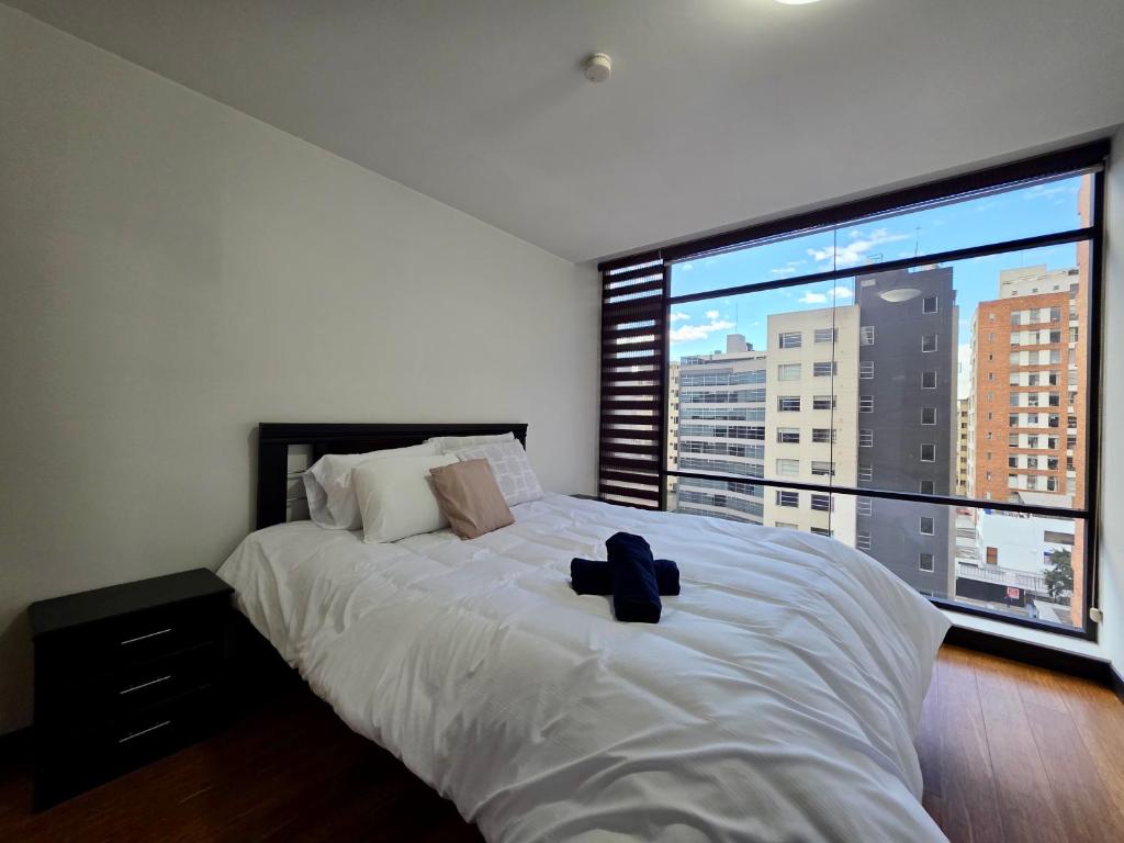 2 Bedrooms with a View,Near the Mall and MegaMaxi - 5