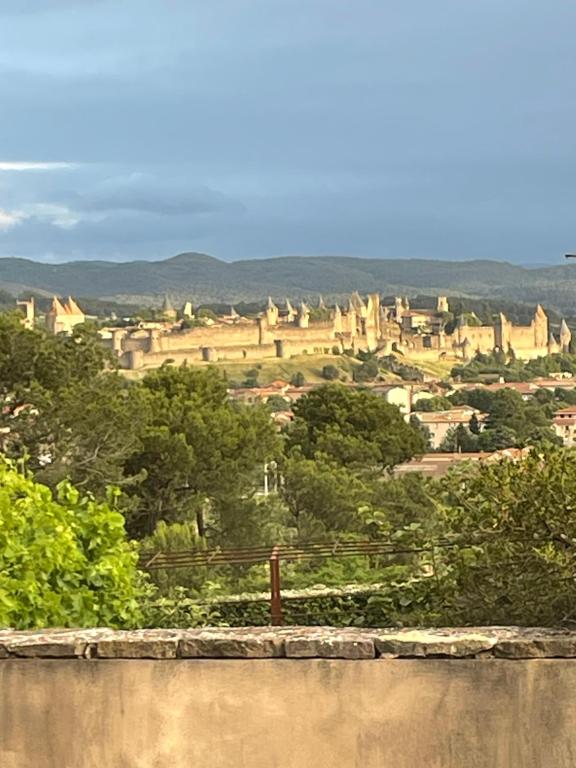 Appart vue Cité, balnéo privée, clim, jardin, parking gratuit - 5