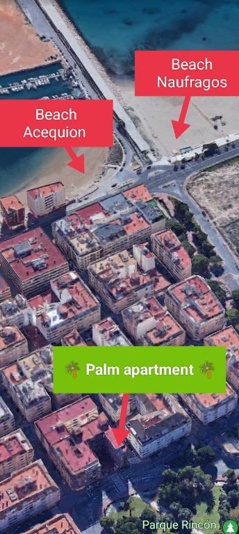 Palm apartments 2-BR Family Suite & Park View - 4