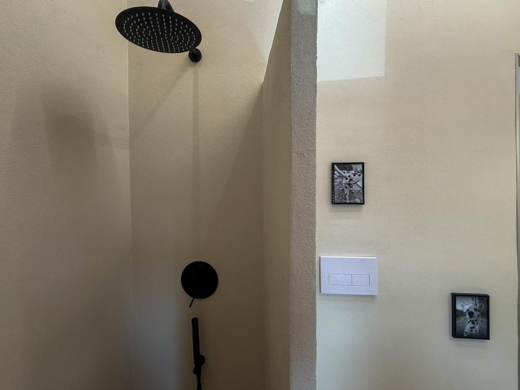 Curated artistic apartment - La Spezia - 4