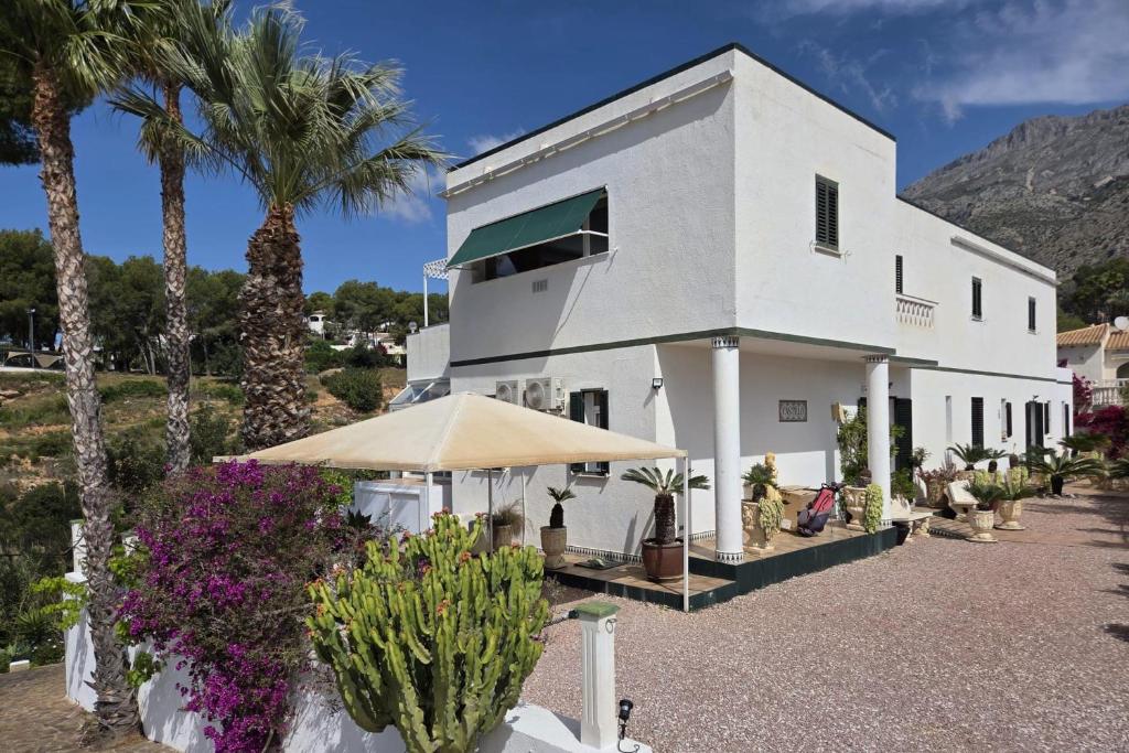 Casita Palmera XL - 3