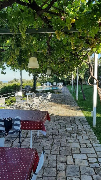 Wonderful villa with swimming pool - 5