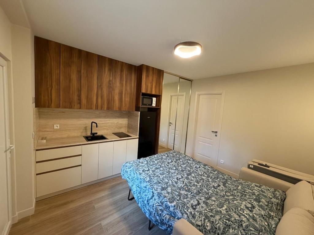 N1 Studio montagne avec Jardin, Calme et nature, Valberg à 18mn, Spa en Option - 2