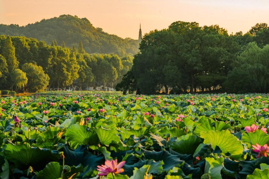 Surrounding environment