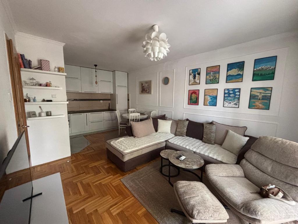 Modern apartment plus FREE parking , near city center, shopping center Big, Clinical Center of Montenegro and city quarter - 1