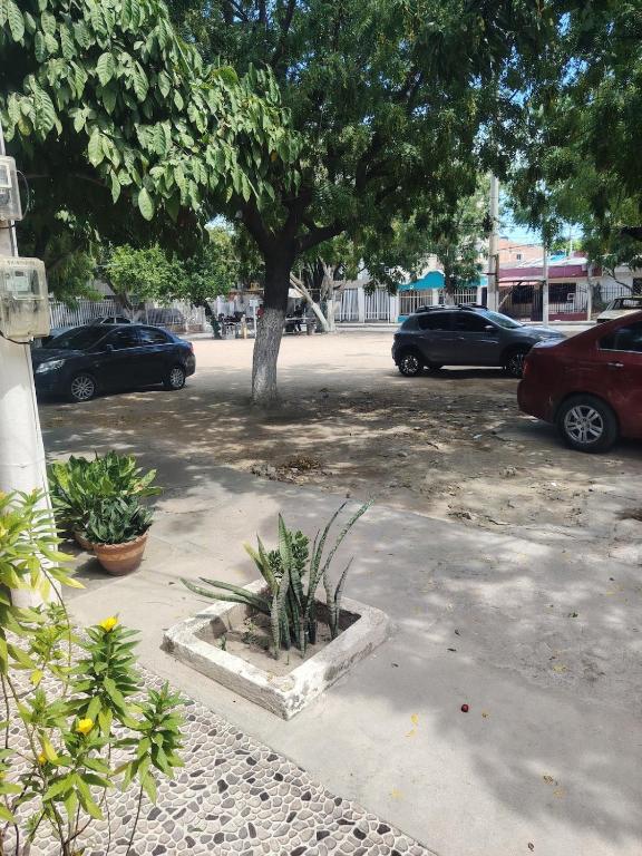 Casa moderna en santa marta - 4