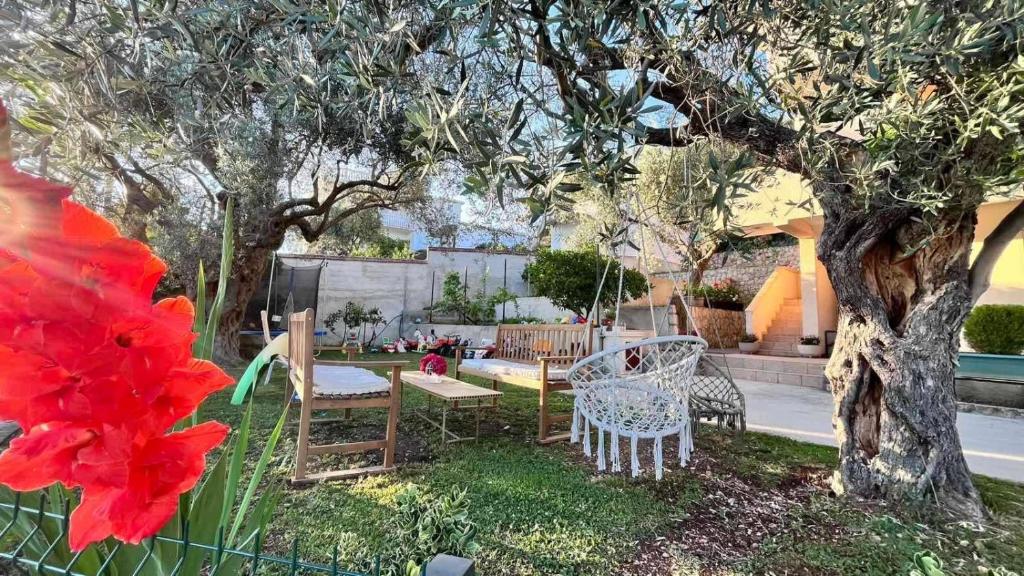 OLIVE GARDEN APARTMENT - 4