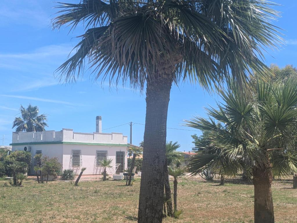 Villino Rio del Mare - 1