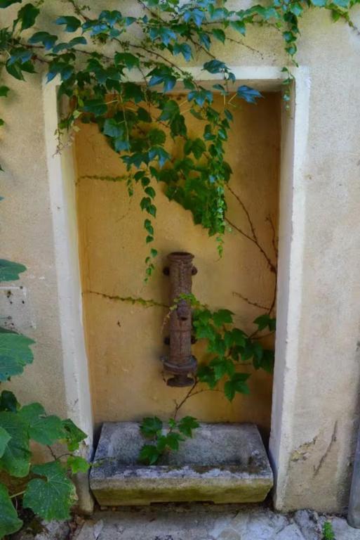 les cacalous - 3