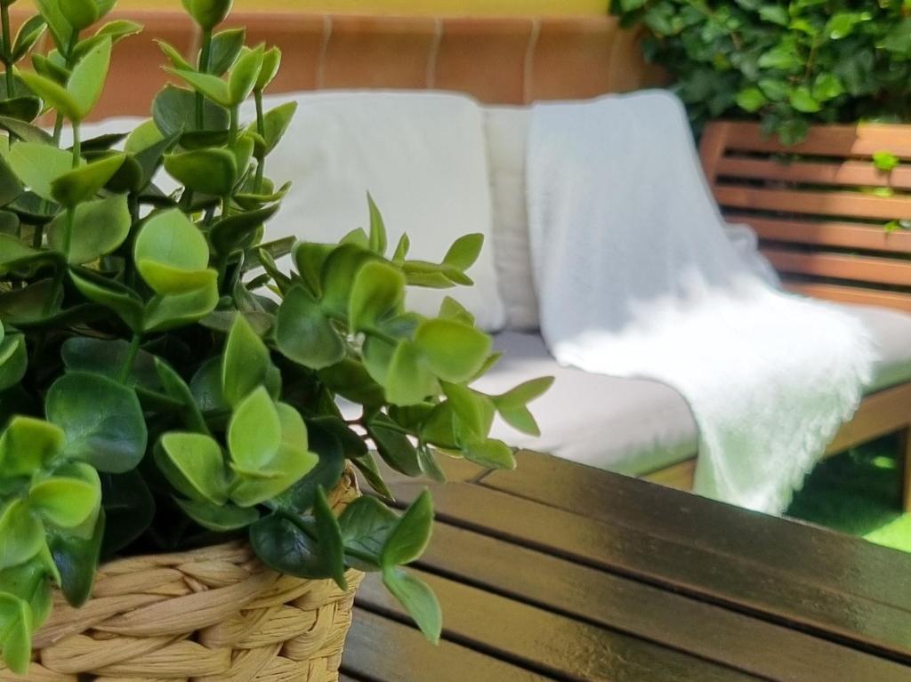 Spacious Apartment with Garden & Terrace - 3
