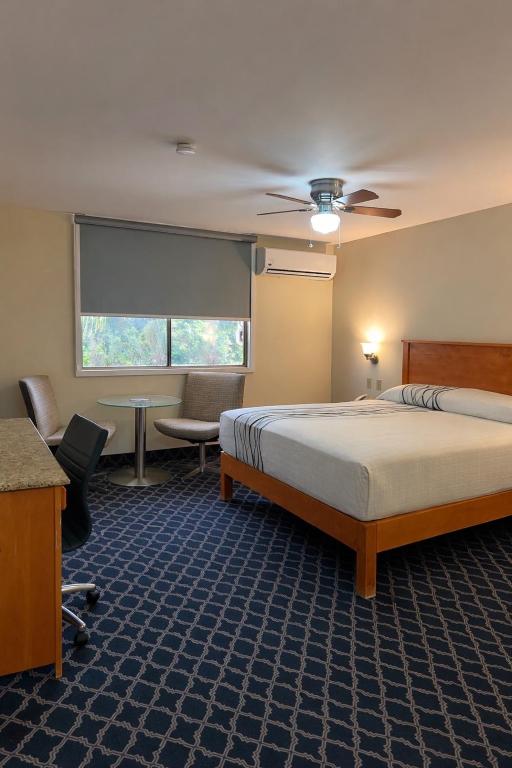 Hotel León - 1