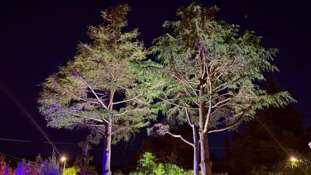 Villa de luxe avec piscine privée et jardin - 3