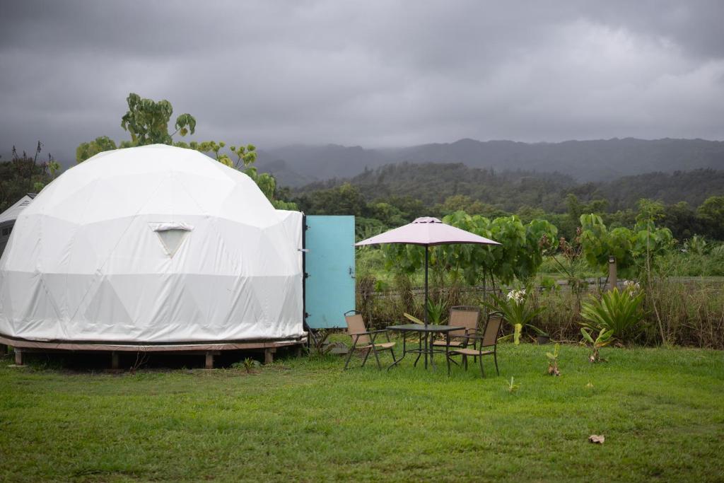 Spacious Dome Tent Glamping Camping Laie North Shore Oahu