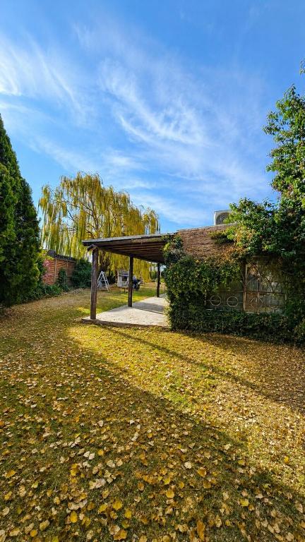 Quinta La Soñada, Medanito de Oro - 2