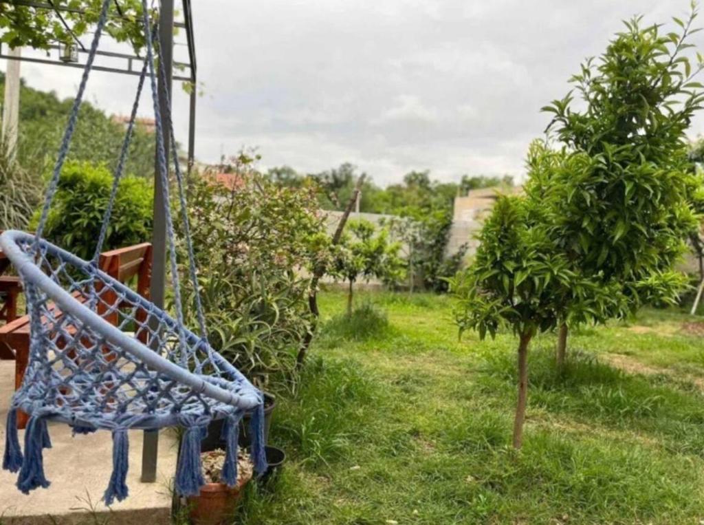 Apartmani Lutovac - 4