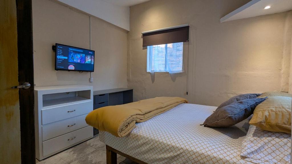 Unique Location Spacious Apartment in Zona Romántica - 5