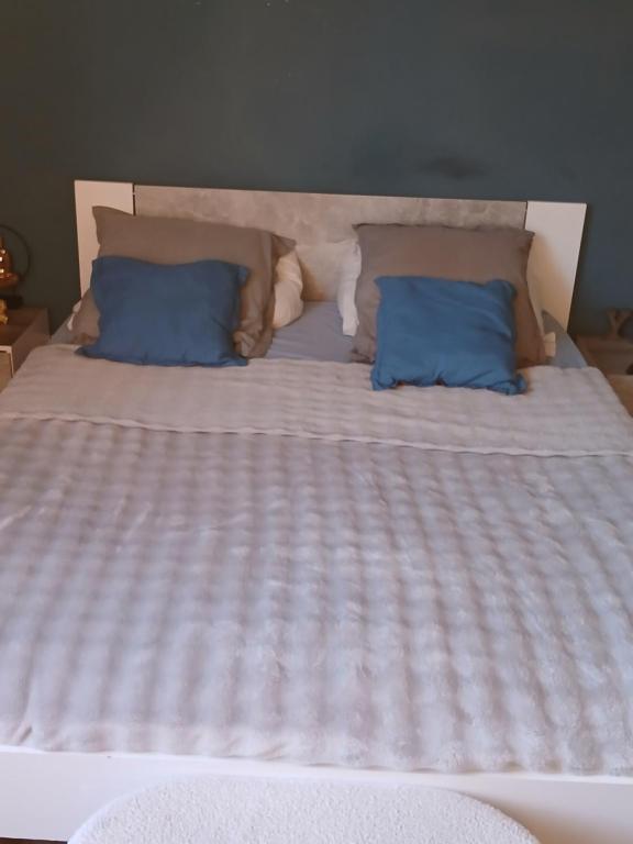 T2 cosy - 4