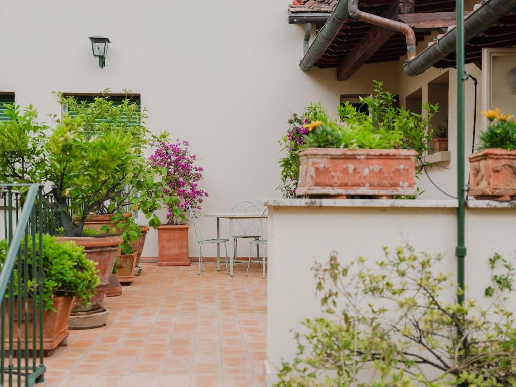 Clara - Terrace Apartment Among Lemon Trees - 3