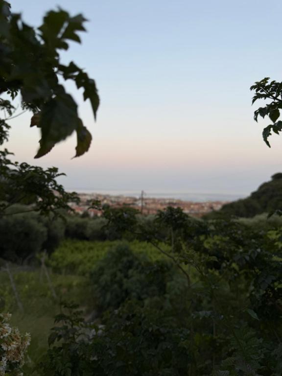 Enjoy the stunning views in Muzazzi, our Riviera Home - 4