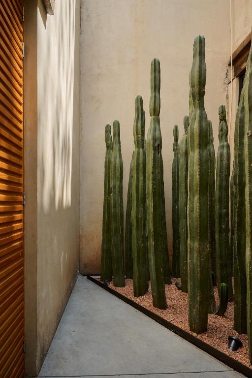 Casa Carmen Reforma - 5