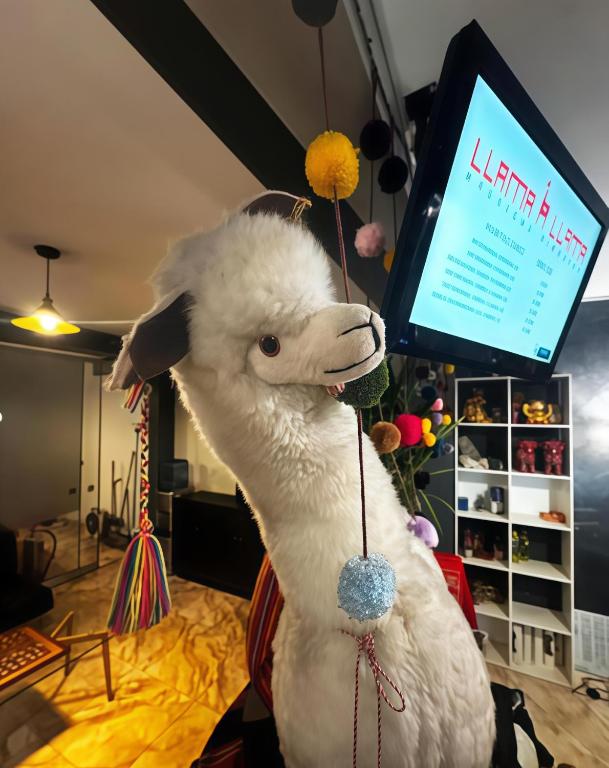 Llama Llama - Hospedaje - 2