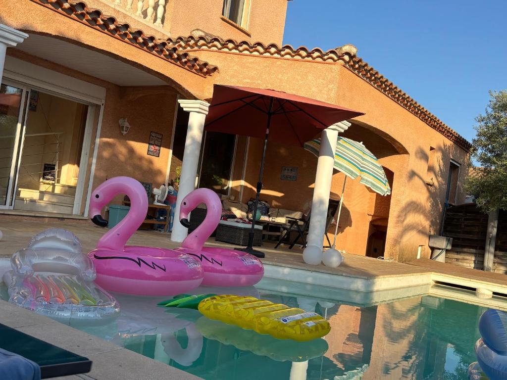 Villa Flamingo gayfriendly adult b&b - 2