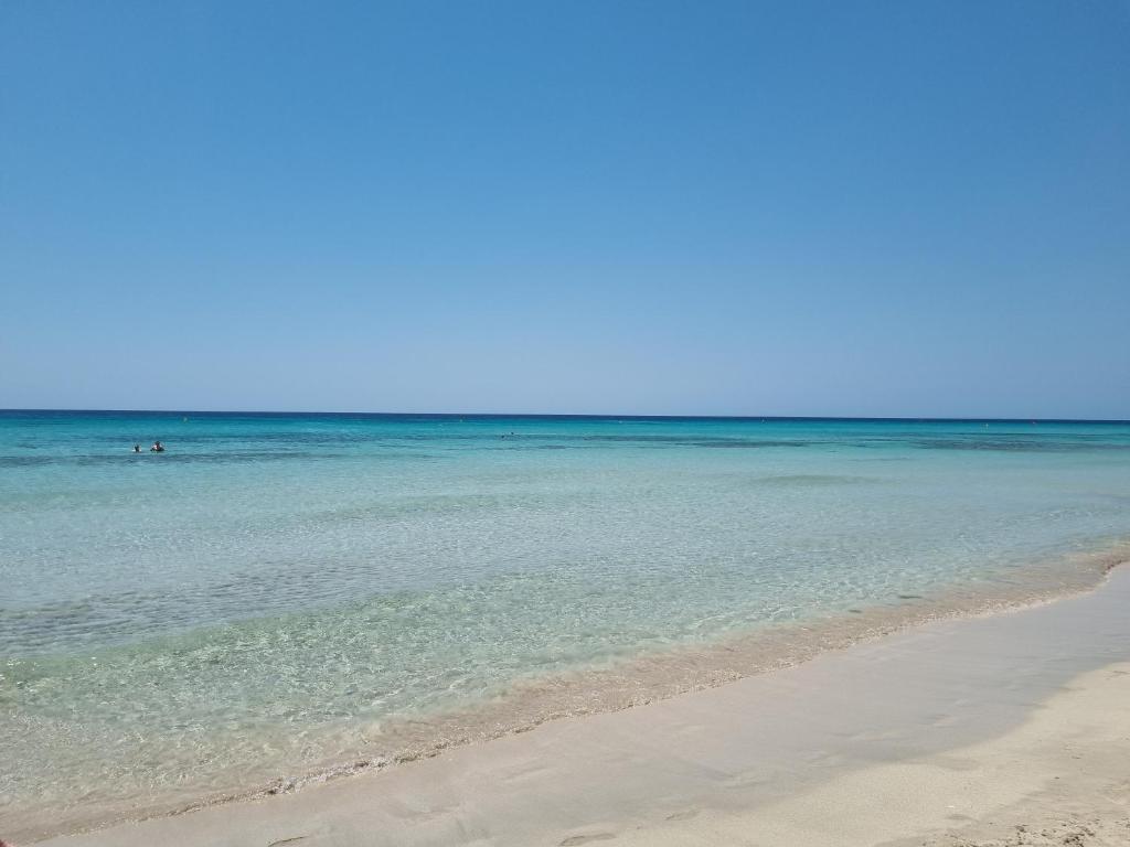 Posidonia -Son Bou Apartment - 1
