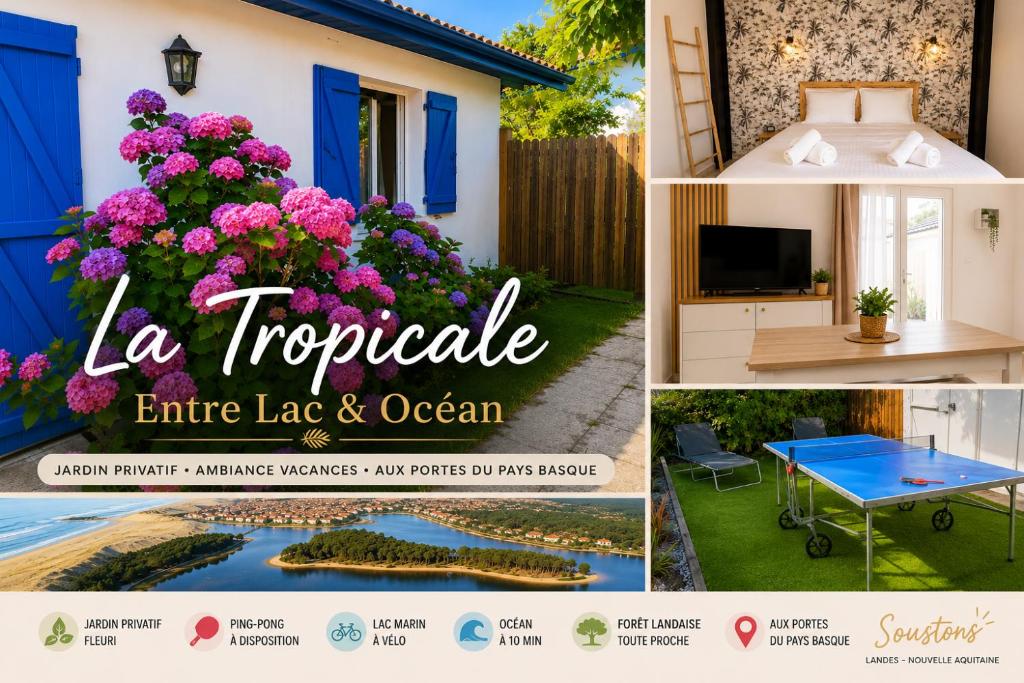 La Tropicale - Terrasse Privée Entre Lac & Océan- C' LA VIEconciergerie - 1